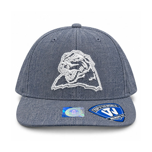Pitt Panthers Top of the World Heather Gray Vintage Panther Memory Fit Hat